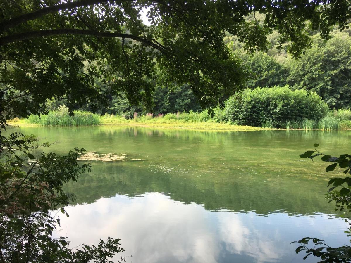 Coeur De Nature Rasigueres Εξωτερικό φωτογραφία
