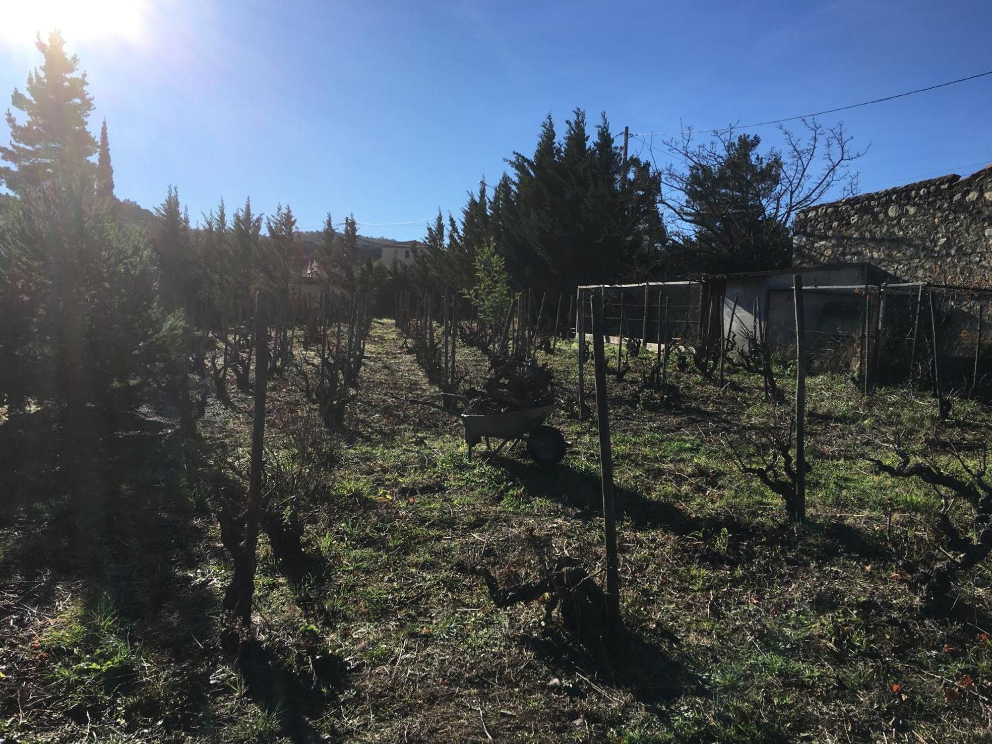 Coeur De Nature Rasigueres Εξωτερικό φωτογραφία