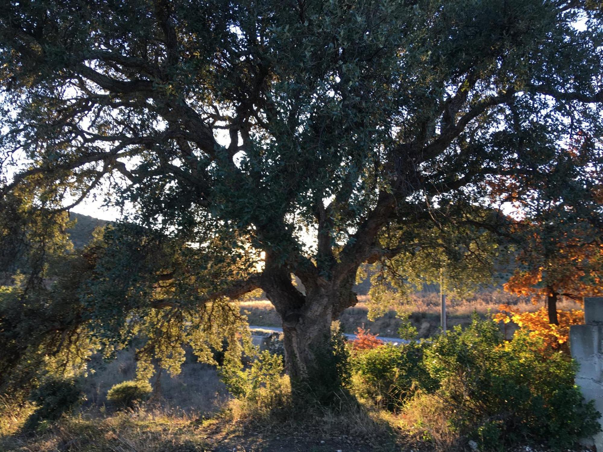 Coeur De Nature Rasigueres Εξωτερικό φωτογραφία