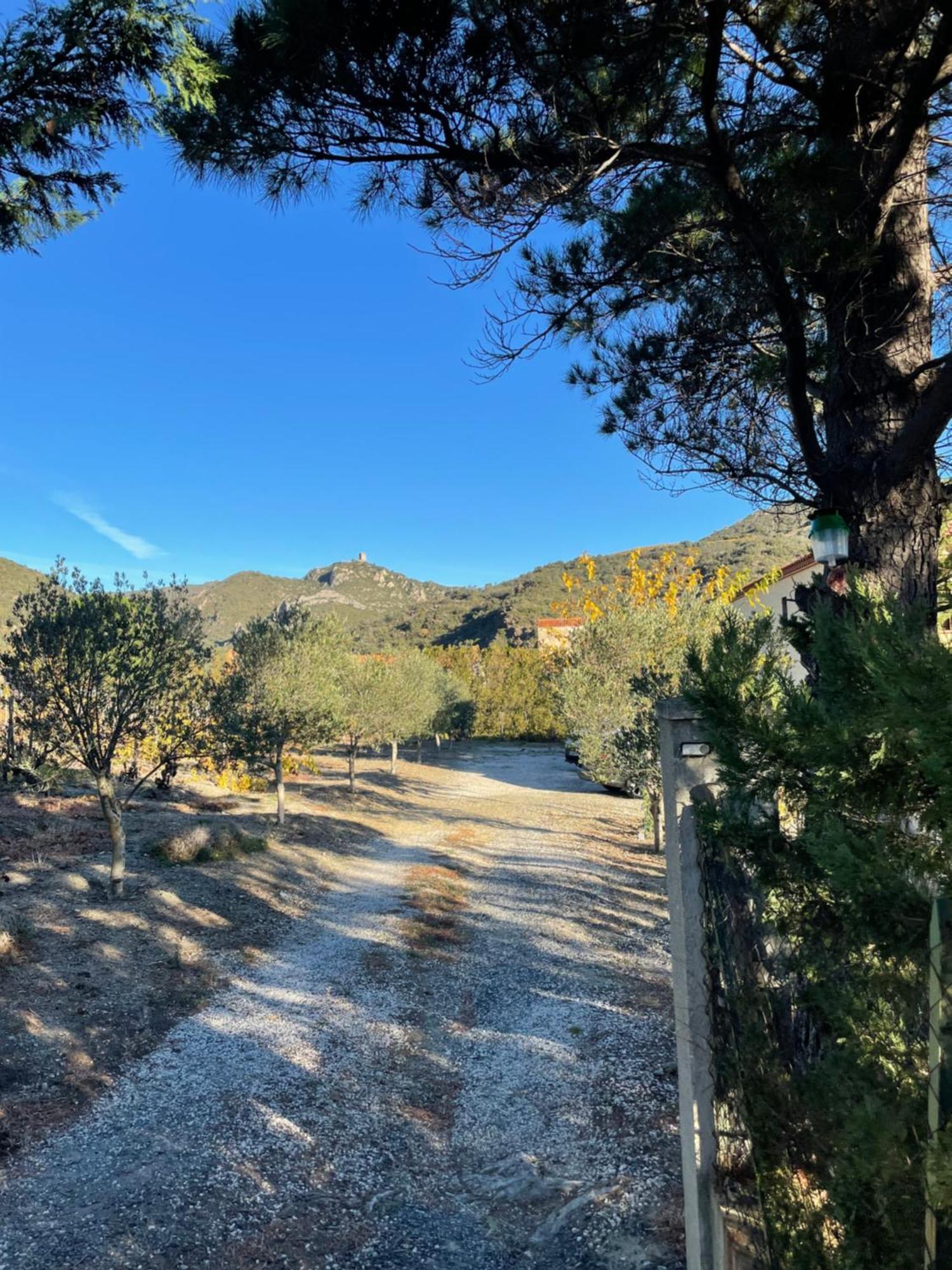 Coeur De Nature Rasigueres Εξωτερικό φωτογραφία