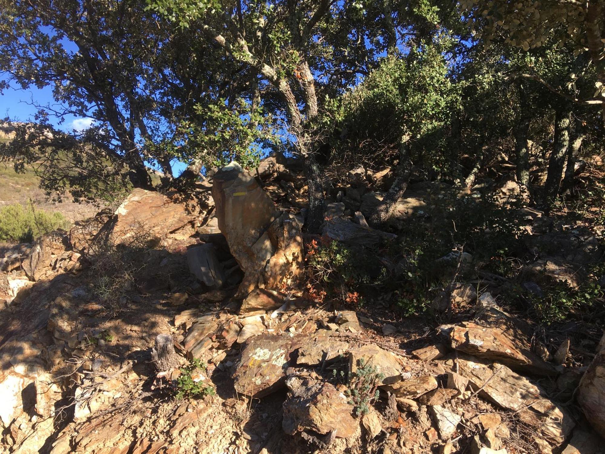 Coeur De Nature Rasigueres Εξωτερικό φωτογραφία